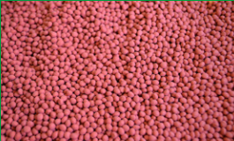 Seed treatment/seed soaking 