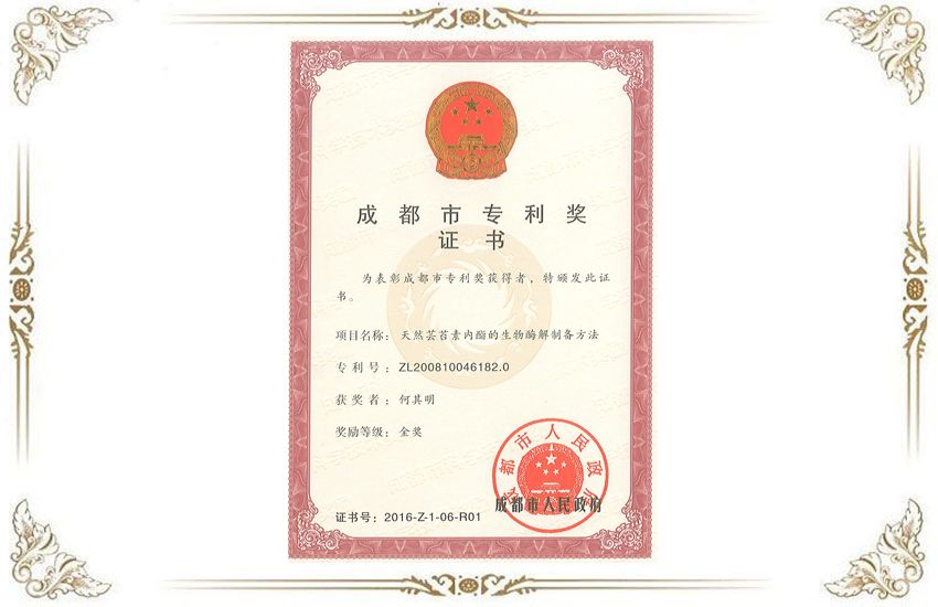 成都市專利金獎.jpg