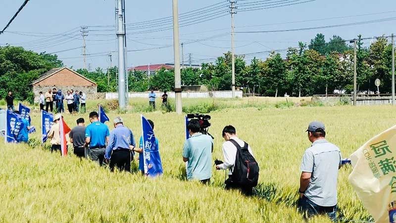 520健康植保日——擁抱綠色農業，我們在行動