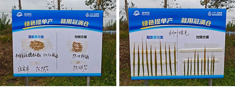 成都新朝陽COR冠菌素入選“2025中國農業(yè)重大新產品”