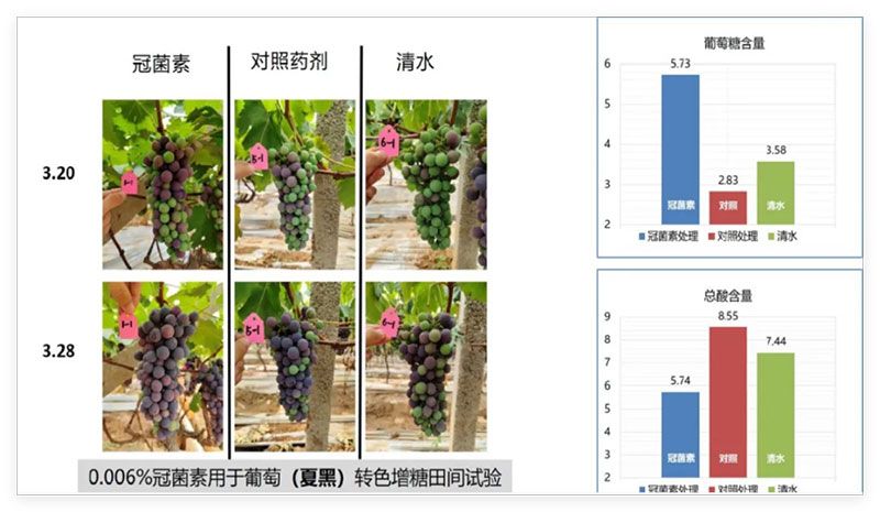 成都新朝陽COR冠菌素入選“2025中國農業(yè)重大新產品”